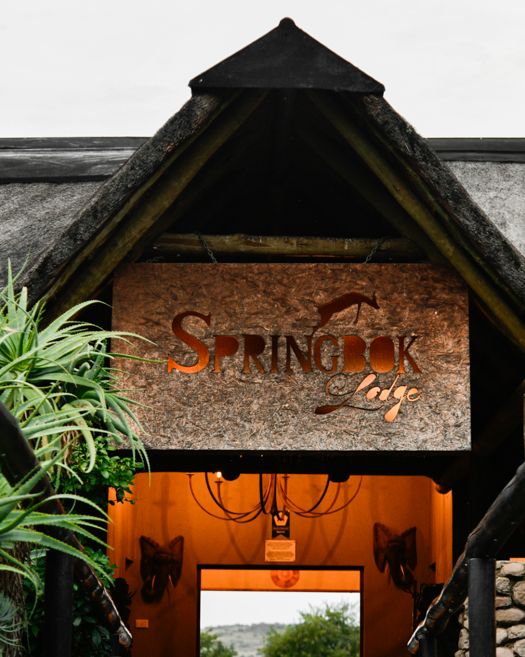 Welcome To The Springbok Lodge