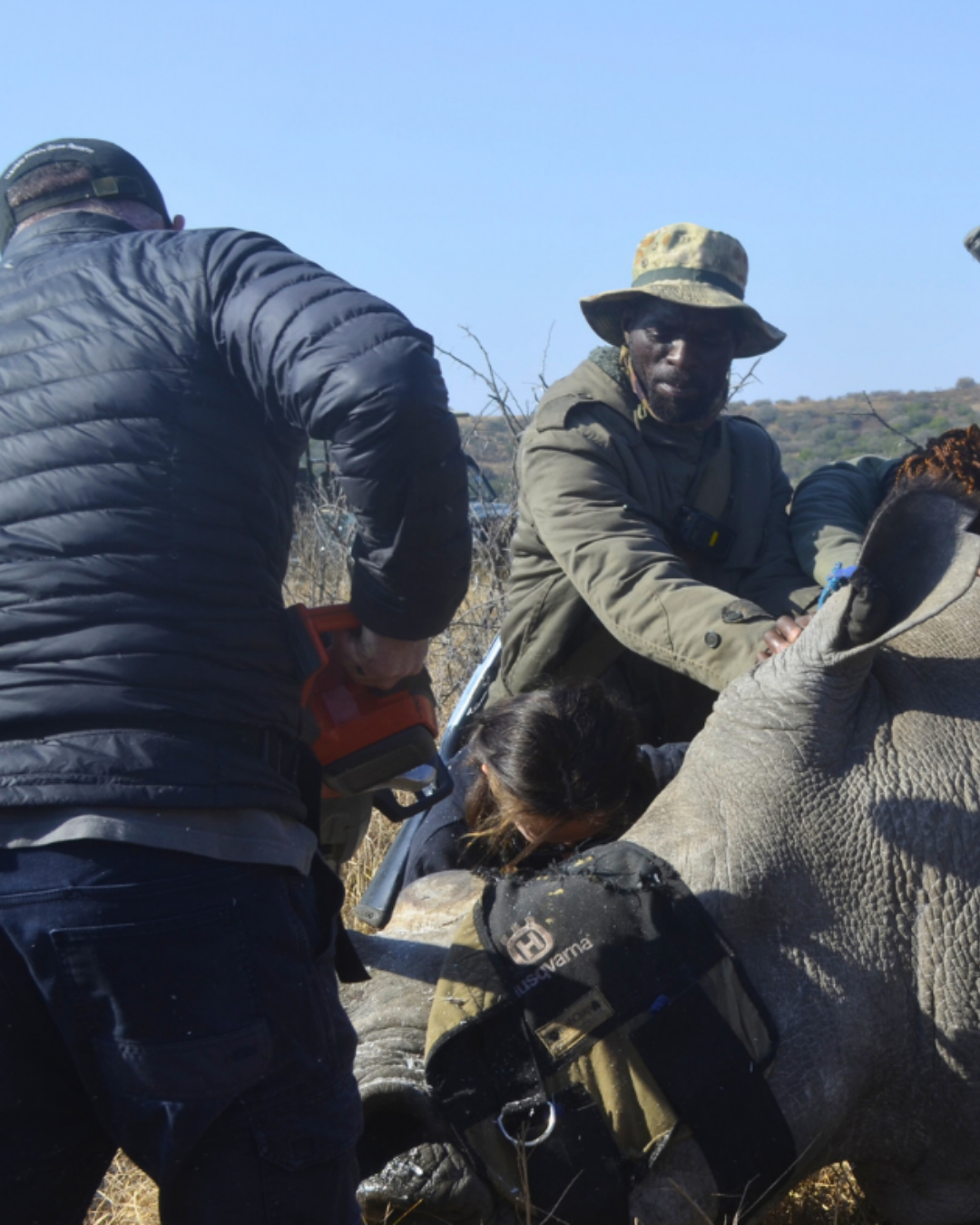 Conservation-In-Action
