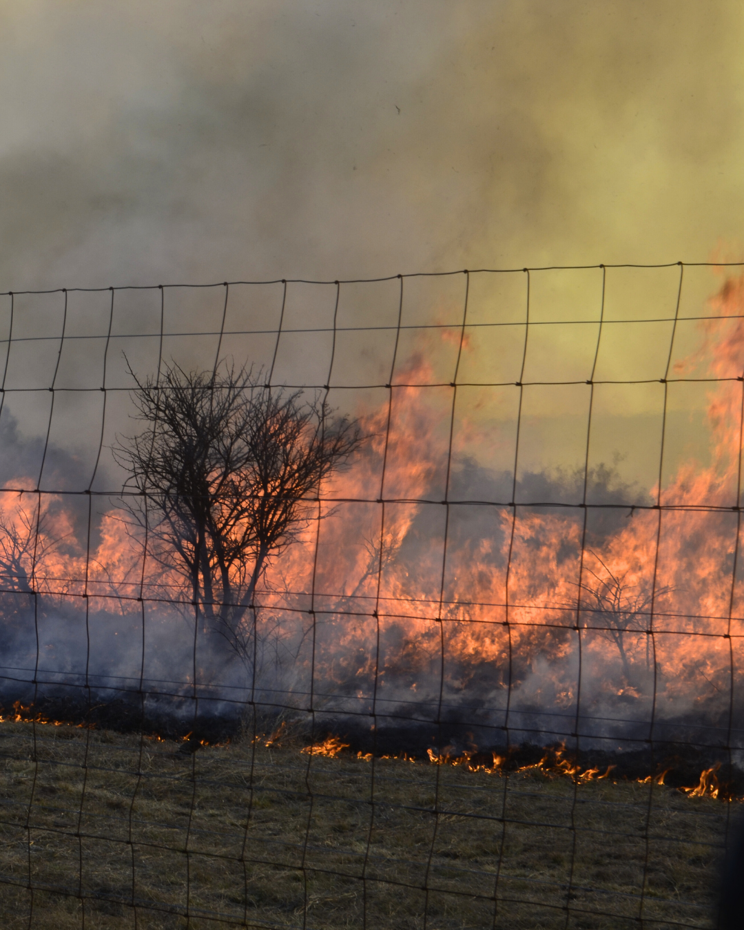 Firebreaks-Nambiti-Private-Game-Reserve