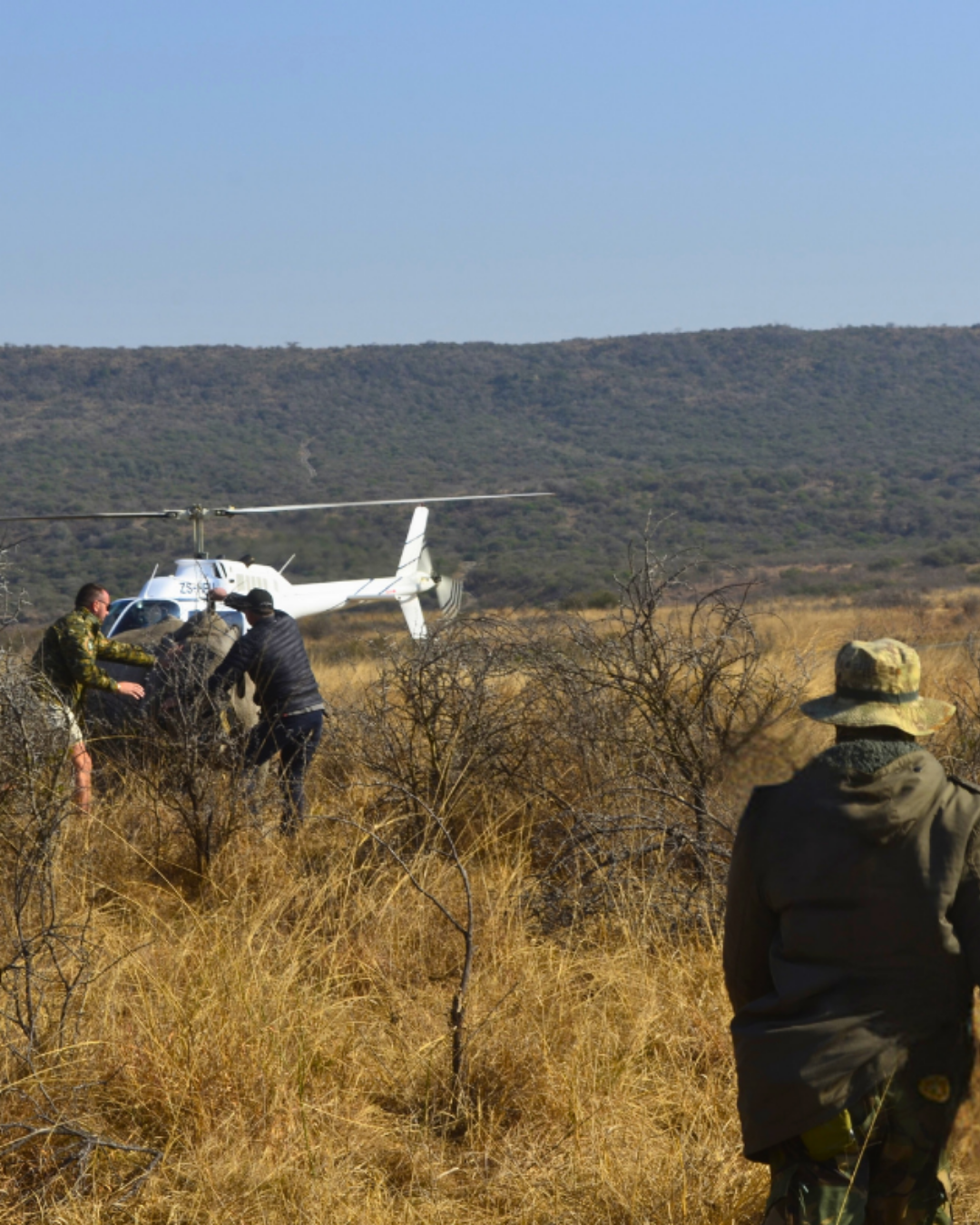 Conservation-In-Action