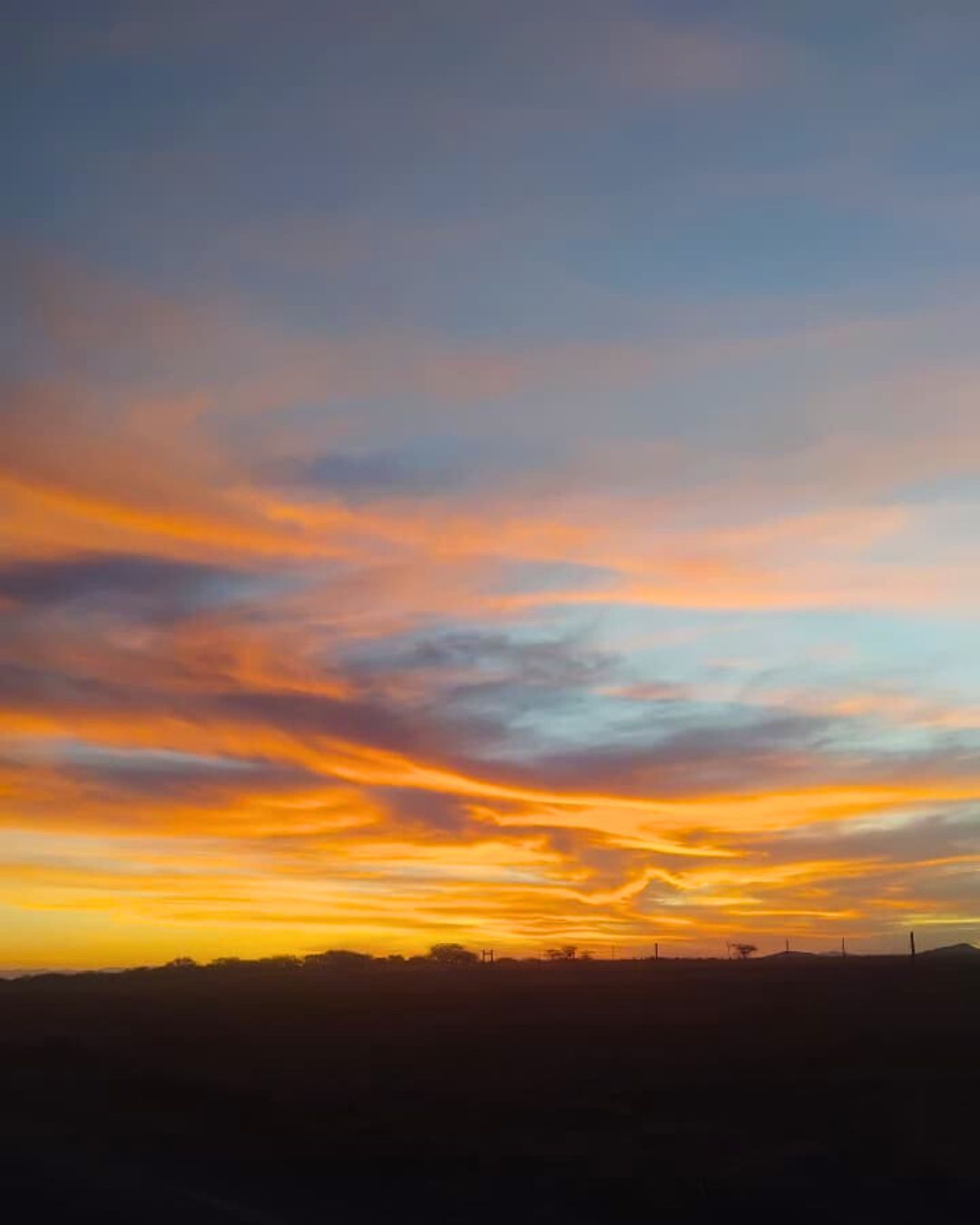 Sunsets on game drive with The Springbok Lodge