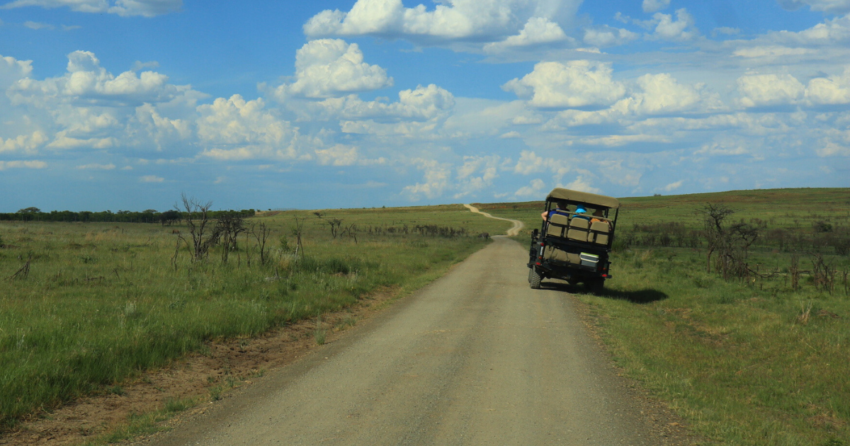 Safari Drive safari-drives-on-nambiti