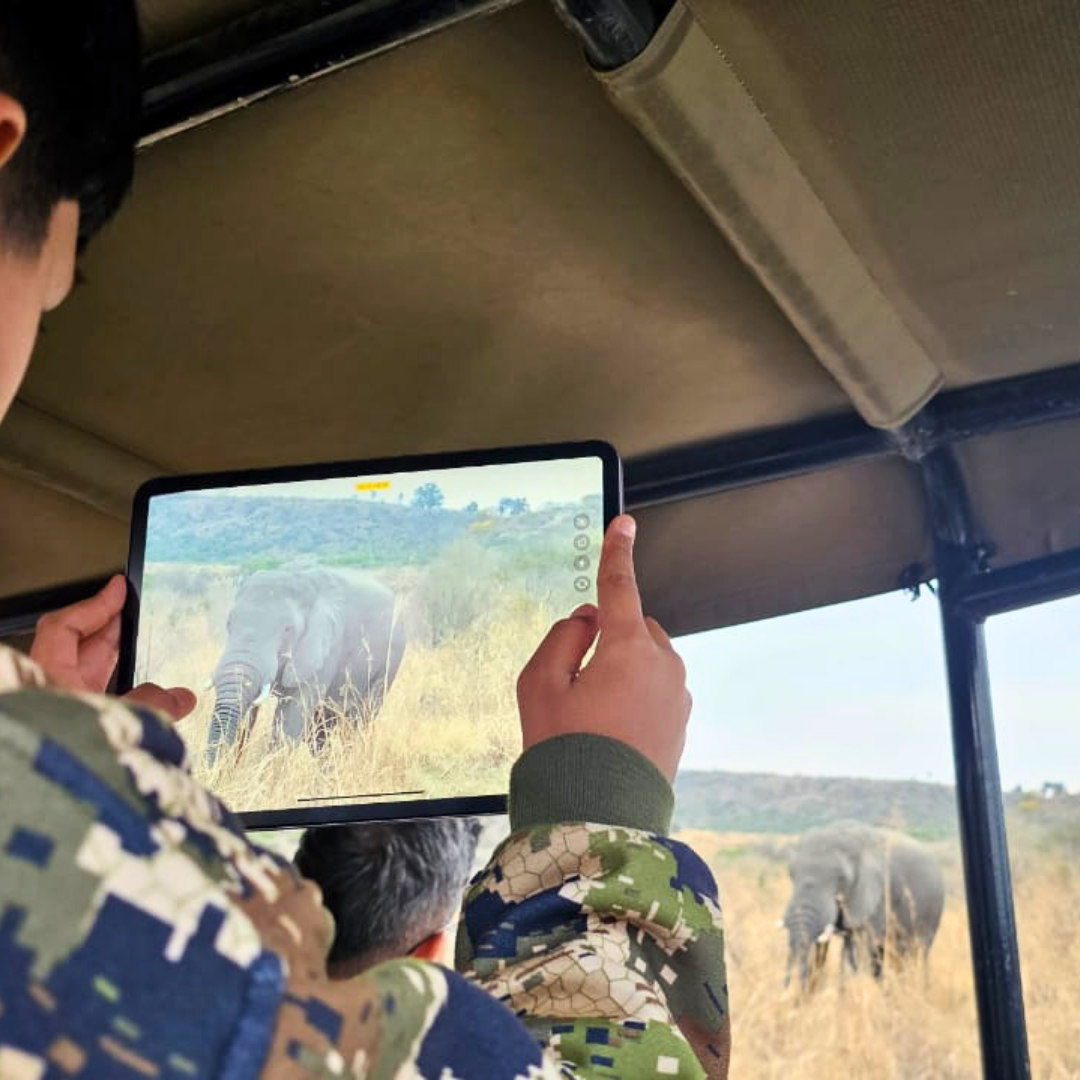guest taking a photo of an elephant.